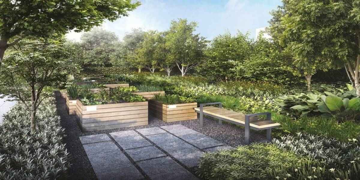 parc-greenwich-herbs-garden.jpg parc-greenwich-herbs-garden.jpg